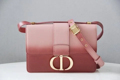 BLUSH BAGZ - Dior Bags - 5570