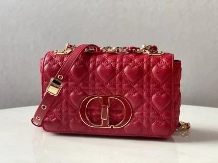 BLUSH BAGZ - Dior Bags - 5501