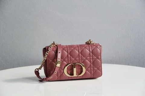 BLUSH BAGZ - Dior Bags - 5467