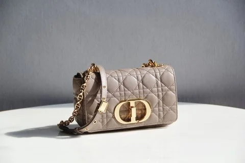 BLUSH BAGZ - Dior Bags - 5492